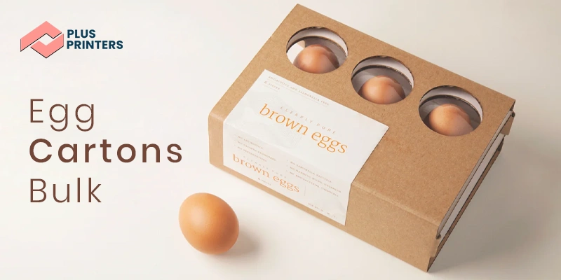 Egg cartons Manufacturer