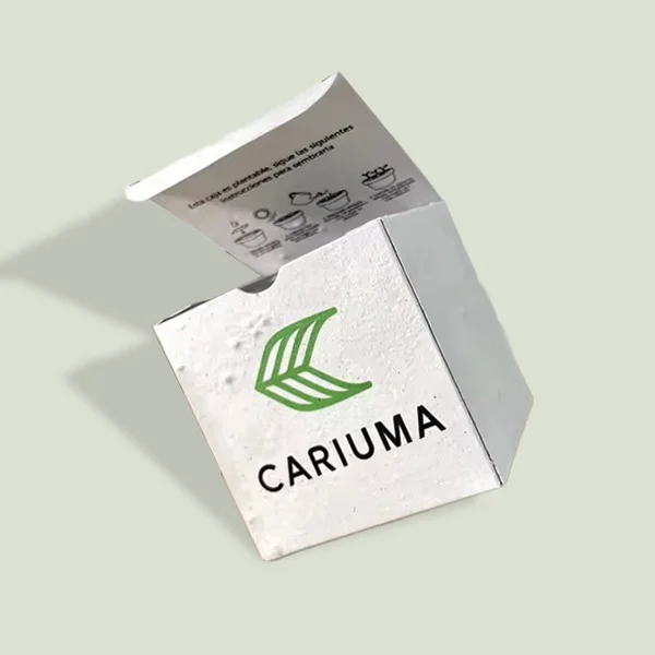 Custom Seed Paper Box