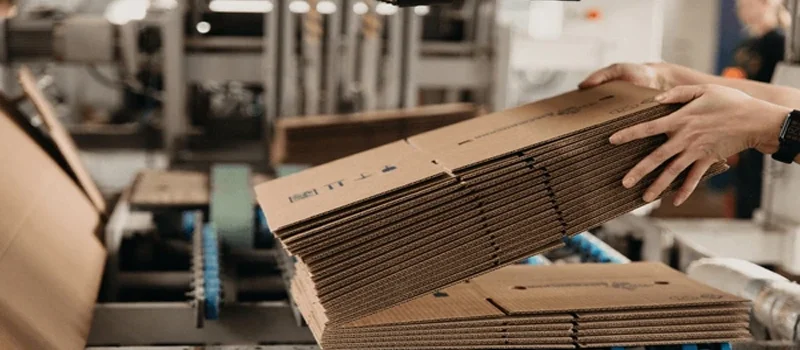 Cardboard Boxes Manufacturing Process