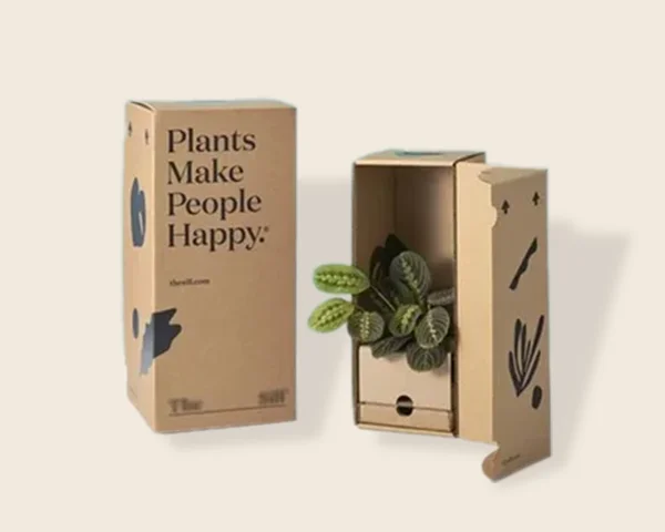 The Best Practices for Packing and Shipping Plants Safely