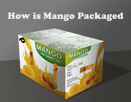 Mango Packaged
