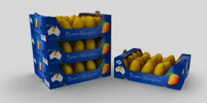 mango packaging